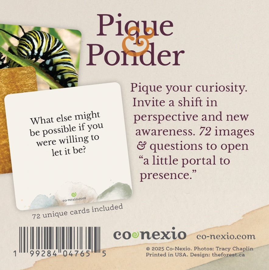 Pique & Ponder Card Deck